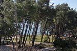Apartamenty w Chorwacji - Makarska