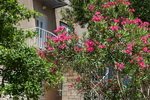 Apartments for rent in Makarska - Apartment Ani