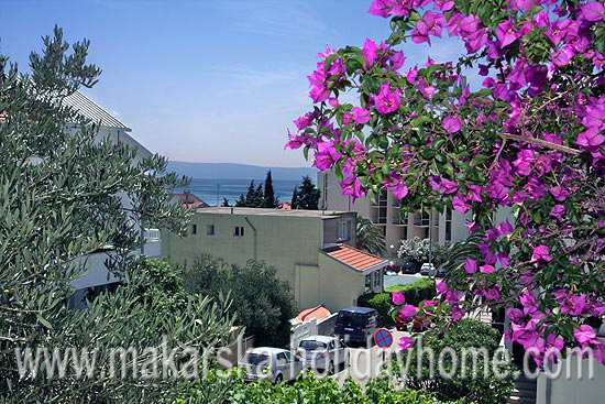 Holiday apartments to rent in Makarska - Croatia