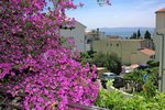 Makarska Kroatien - Ferienwohnung Makarska riviera