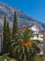 Makarska apartments private accommodation