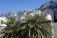Kwatery prywatne Chorwacja-Makarska - Apartamenty Vucic