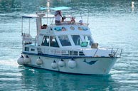 billig ferie i kroatia makarska riviera ship